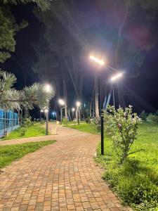 Gallery image of Hotel Kobuleti in K'obulet'i