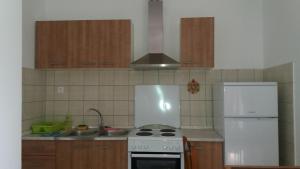 Kuchyň nebo kuchyňský kout v ubytování Apartment Cvijanović
