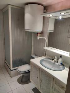 a bathroom with a sink and a toilet at Appartement cosy à Alfortville - 30 m² - Jardin privé in Alfortville +16 photos