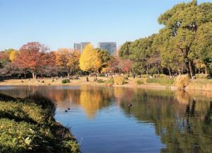un laghetto in un parco con anatre in acqua di Toshi Center Hotel a Tokyo