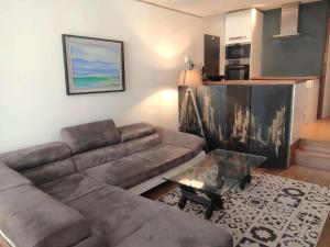 Χώρος καθιστικού στο Bel appartement confortable au pied des pistes avec internet - FR-1-292-144