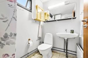 a small bathroom with a toilet and a sink at 8003-Knebel-Skodshovedgard-41 in Knebel +26 photos