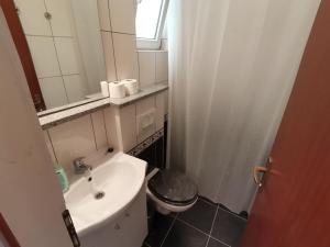 een badkamer met een wastafel, een toilet en een spiegel bij Apartments DeMori in Primošten +31 foto's