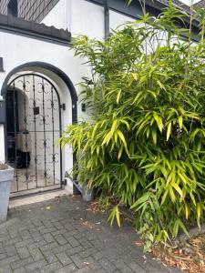 an entrance to a building with a gate and plants at Modernes Studio mit en-Suite Bad & bester Anbindung in Düsseldorf