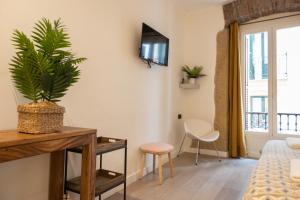 サン・セバスティアンにあるAmona Teresa Guesthouseのベッド1台と植物のあるテーブルが備わる部屋