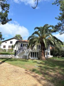 a palm tree in front of a house at Anglet Chiberta - Proche plage -Terrasse in Anglet