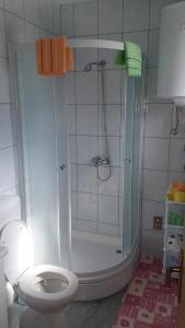 Koupelna v ubytování Apartment Cvijanović + 29 fotografií