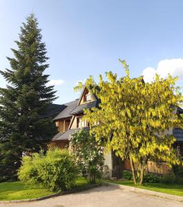une maison avec un arbre jaune devant elle dans l'établissement Gontyna, à Zakopane