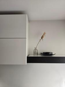a plant in a vase sitting on a shelf at Downtown Boulevard View Residence in Šiauliai +28 photos