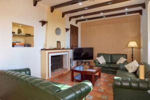 a living room with green leather furniture and a fireplace at Holiday House Dehesa del Colmenar in Cabra