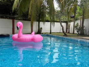 a pink flamingo float in a swimming pool at ForestEdge bungalow 8BR 34pax Templer Villa in Rawang