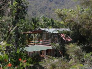 a house in the middle of a jungle with trees at Nature Stay - Private Water Stream and a Pool in Aldūr +7 photos