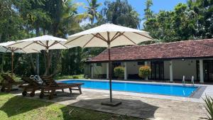 Hồ bơi trong/gần Kosgoda Boutique Villa +13 ảnh