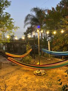 Imagen de la galería de Casa Beira Rio, en Araras