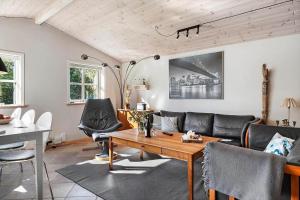 Χώρος καθιστικού στο TV1659-Jerup-Kippen-9