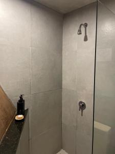 a bathroom with a shower with a glass door at Tava Glamping Lago in San Bernardino