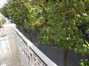 Fotografie z fotogalerie ubytování Lina's Apartment v destinaci Grado