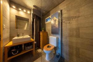ein Badezimmer mit Toilette und Waschbecken in der Unterkunft Chalet Chanterelle - Cosy et montagnard in Plan Fey + 26 Fotos
