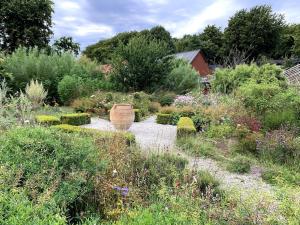 ボースタッドにあるBäckdalens Bed and Breakfast & Caféの様々な植物や花の庭園