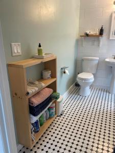a bathroom with a toilet and a sink at Private duplex on Hudson River in Coxsackie