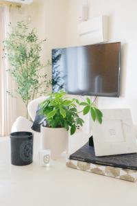 a desk with a tv and two plants on it at Maison du Voyage New-Elegant villa 3min from Kadena Air Base Gate 3 in Okinawa City
