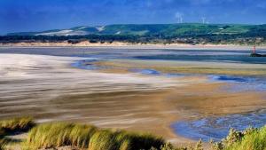 a view of a beach with grass and water at Les Terrasses Du Golf in Le Touquet-Paris-Plage