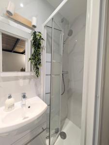 une salle de bain blanche avec un lavabo et une douche dans l'établissement Superbe Studette au cœur de l'ile Saint Louis - 1 personne, à Paris 2 autres photos