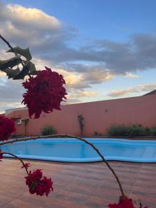 a swimming pool with red flowers in front of a building at Pousada Am confort turiuba ltda in Turiúba