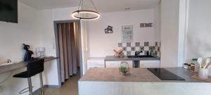 une cuisine avec un évier et un plan de travail dans l'établissement T1 rénové 26m2 cosy confort !, à Anzin