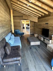 a living room with a couch and a tv at Appartement Chalet Des Lacs in L'Alpe-d'Huez