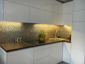 Kuchnia lub aneks kuchenny w obiekcie Apartament Forest - Parking - Praia Apartments Sopot Aquapark