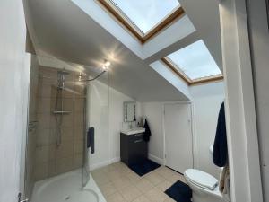a bathroom with a shower and a toilet and a skylight at Downlands Barn apartment 1 Bedroom - 2 Futon in Lounge in Ditchling +19 photos