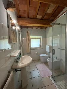 a bathroom with a sink and a shower and a toilet at B & B Arzilla in Rosciano