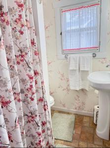 une salle de bain avec un lavabo et un rideau de douche dans l'établissement Long Lake Getaway-Hot Tub-Pet Friendly-Near Alpena, à Alpena