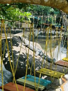 a swing in front of the water at a zoo at Nature Stay - Private Water Stream and a Pool in Aldūr