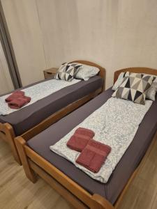 メジュゴリエにあるJela Apartmentの部屋に並んで置かれた2つのベッド +12枚の写真