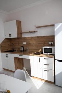 Kuchyň nebo kuchyňský kout v ubytování Апартаменты на главной улице Сыганак, рядом с Ханшатыр