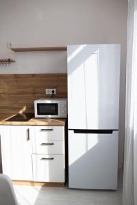 Kuchyň nebo kuchyňský kout v ubytování Апартаменты на главной улице Сыганак, рядом с Ханшатыр