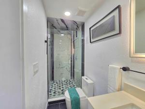 タンパにあるThe Executive Landing , 1BR, 7 TPA Airport, AC, Free Pkng, Wine, Fast Wi-Fiのシャワーとトイレ付きのバスルーム +37枚の写真