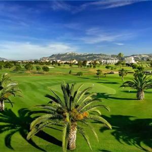 a group of palm trees on a golf course at Isla Sicilia in Oliva