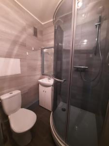 een badkamer met een douche, een toilet en een wastafel bij Studio Apartment 2 in Rēzekne