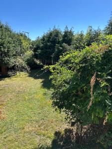 Imagen de la galería de Le Cocon de Mimi Grande terrasse couverte et confort, en Sarralbe 39 fotos más