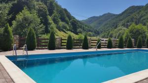 a swimming pool with trees and mountains in the background at Pension Curmatura Stezii in Răşinari
