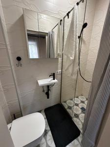a bathroom with a shower and a toilet and a sink at Independence square apartments I in Mažeikiai +8 photos