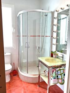 a bathroom with a shower with a sink and a toilet at Apartamentos María Gaviota 2 in Prado del Rey +4 photos