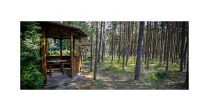 Fotografie z fotogalerie ubytování Forest Cottage v destinaci Neringa