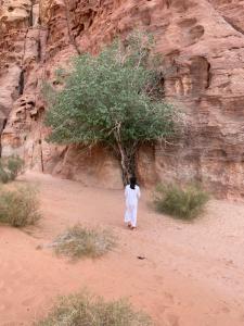 Příroda nedaleko kempu