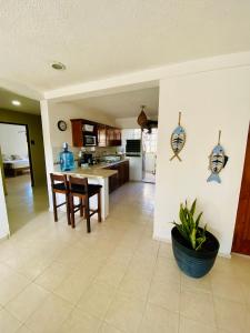 Η κουζίνα ή μικρή κουζίνα στο Aguacatl Cozumel +13 φωτογραφίες