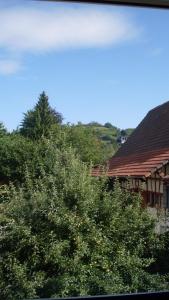 ein Haus mit einem roten Dach und einigen Bäumen in der Unterkunft Ferienhaus Bohlingen - Haus 26 in Singen
