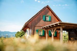 Sankt Johann im Saggautal克罗尔胡贝度假屋的一座有绿色窗户的木屋